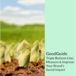 GoodGuides 03 Cover: The Triple Bottom Line