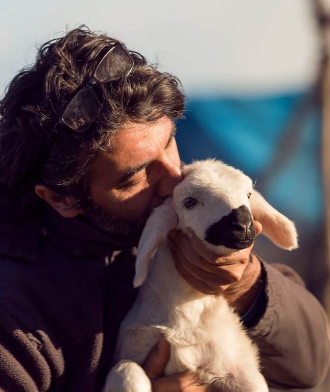 man caring for a lamb