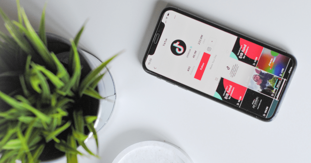 Curator Blog  Guide to TikTok Ecommerce Marketing: Brand